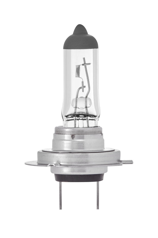 H7 Halogen Bulb Clear